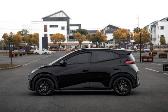 BYD SEAGULL-001-FF MR7S