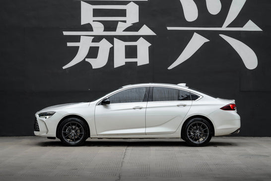 BUICK REGAL-001-FF 011