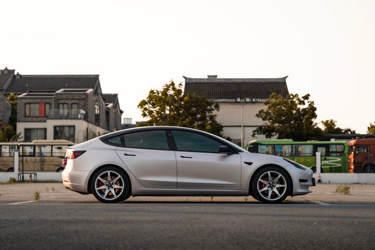 TESLA MODEL3-001-FG MR7 MONO