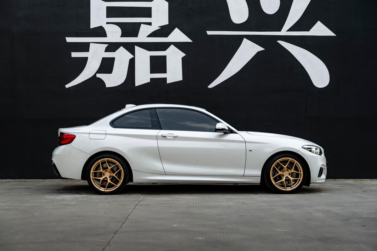 BMW 2-SERIES-001-FF FK07