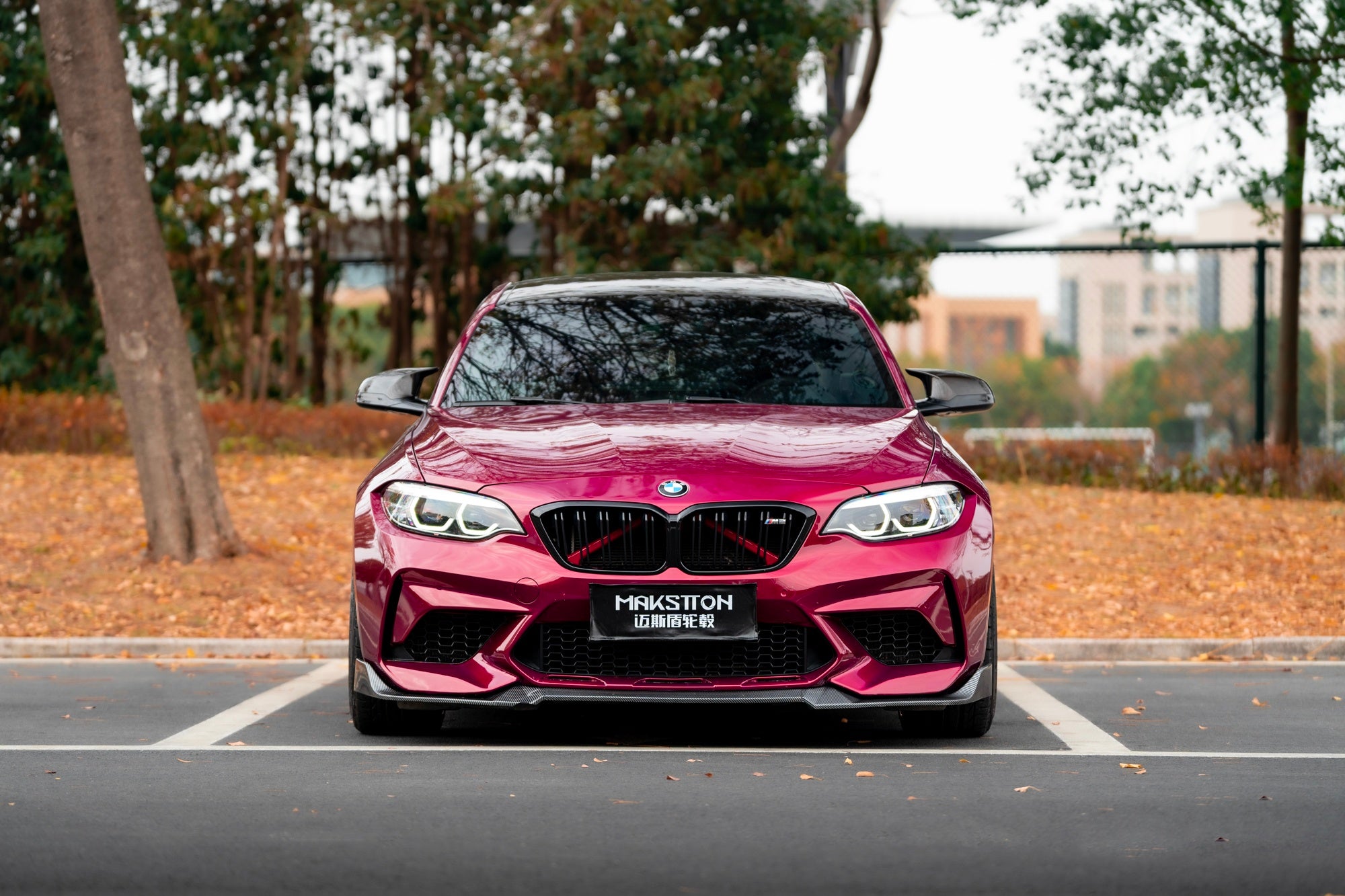 BMW M2-004-FG MR8