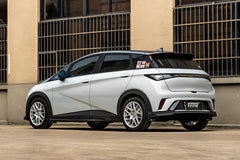 BYD DOLPHIN-002-MST CK70