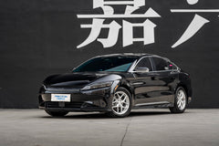 BYD HAN DMI-002-FG FK07