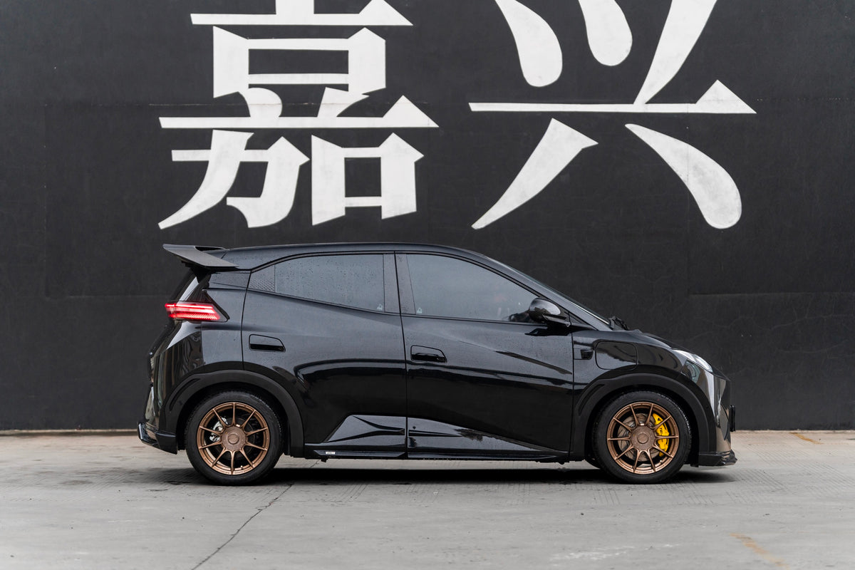 BYD SEAGULL-001-FF FK75S