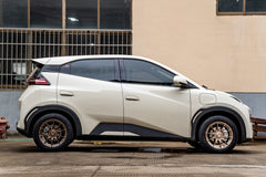 BYD SEAGULL-001-FF FK75S