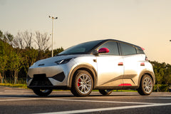 BYD SEAGULL-002-FF FK75S