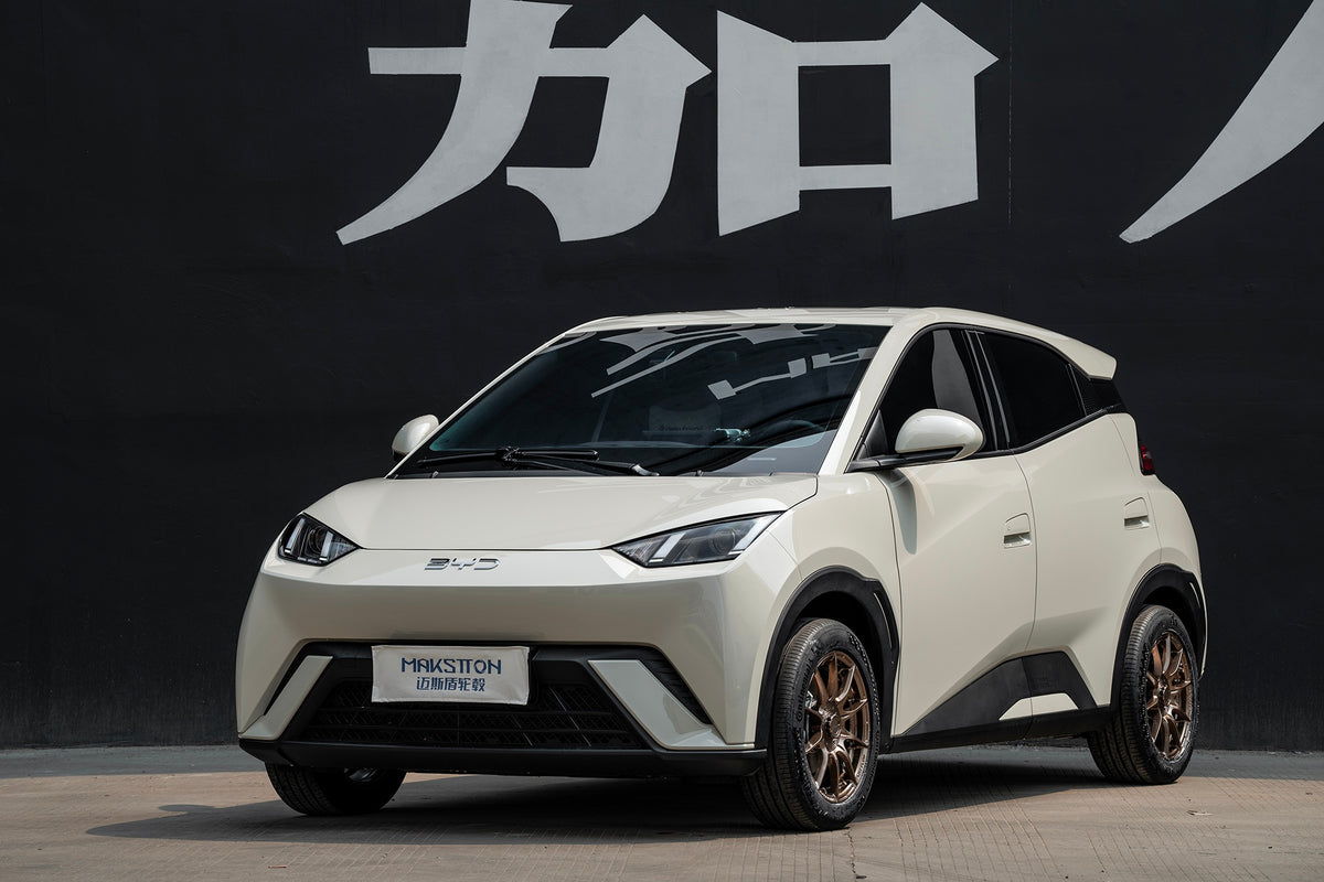 BYD SEAGULL-002-FF FK75S