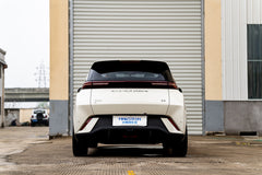 BYD SEAGULL-003-FF FK75S