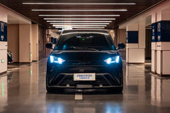 BYD SEAGULL-004-FF FK75S