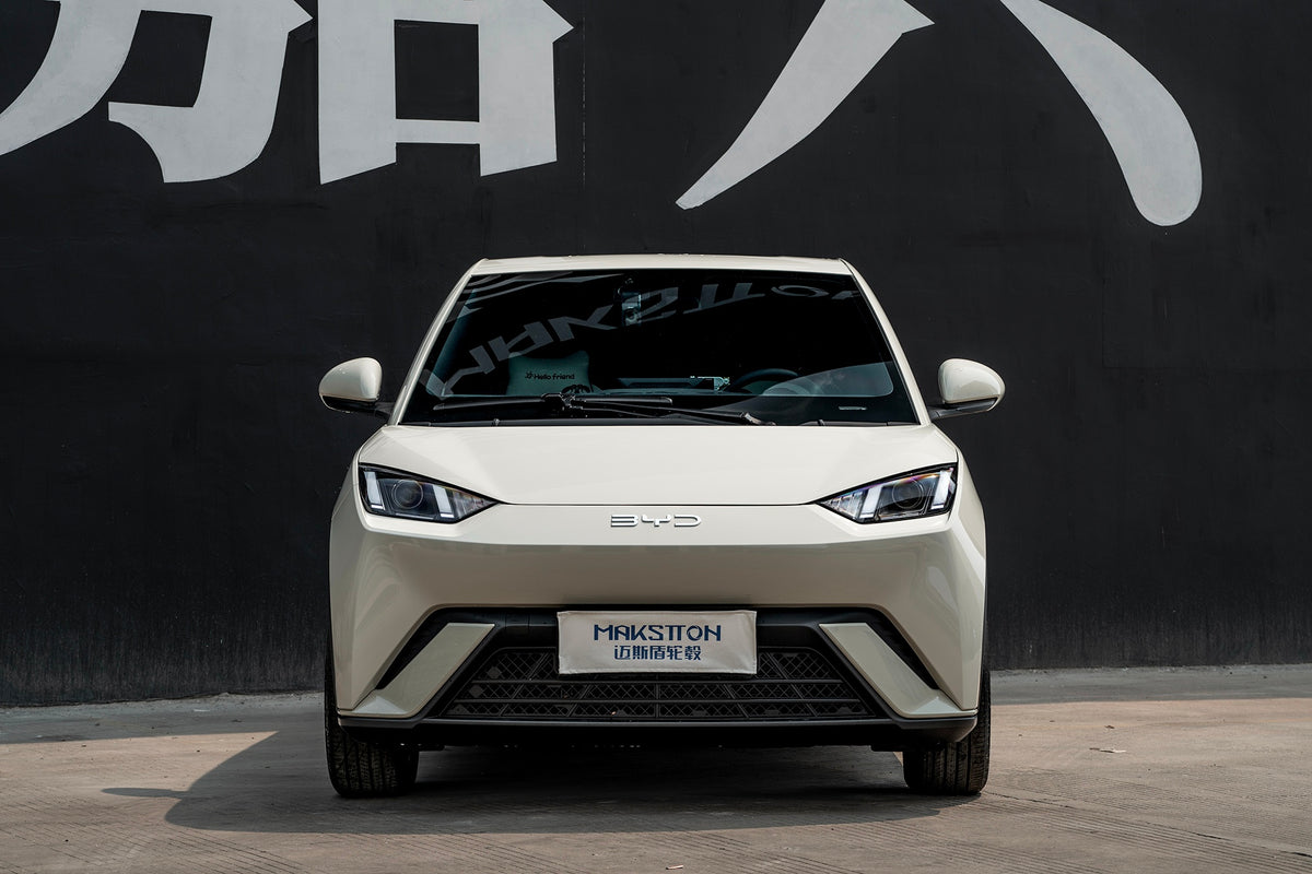 BYD SEAGULL-004-FF FK75S