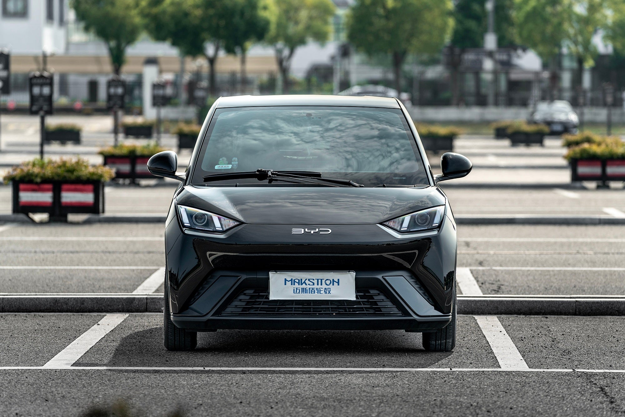 BYD SEAGULL-004-FF FK75S