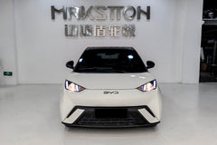 BYD SEAGULL-004-FF MR7S