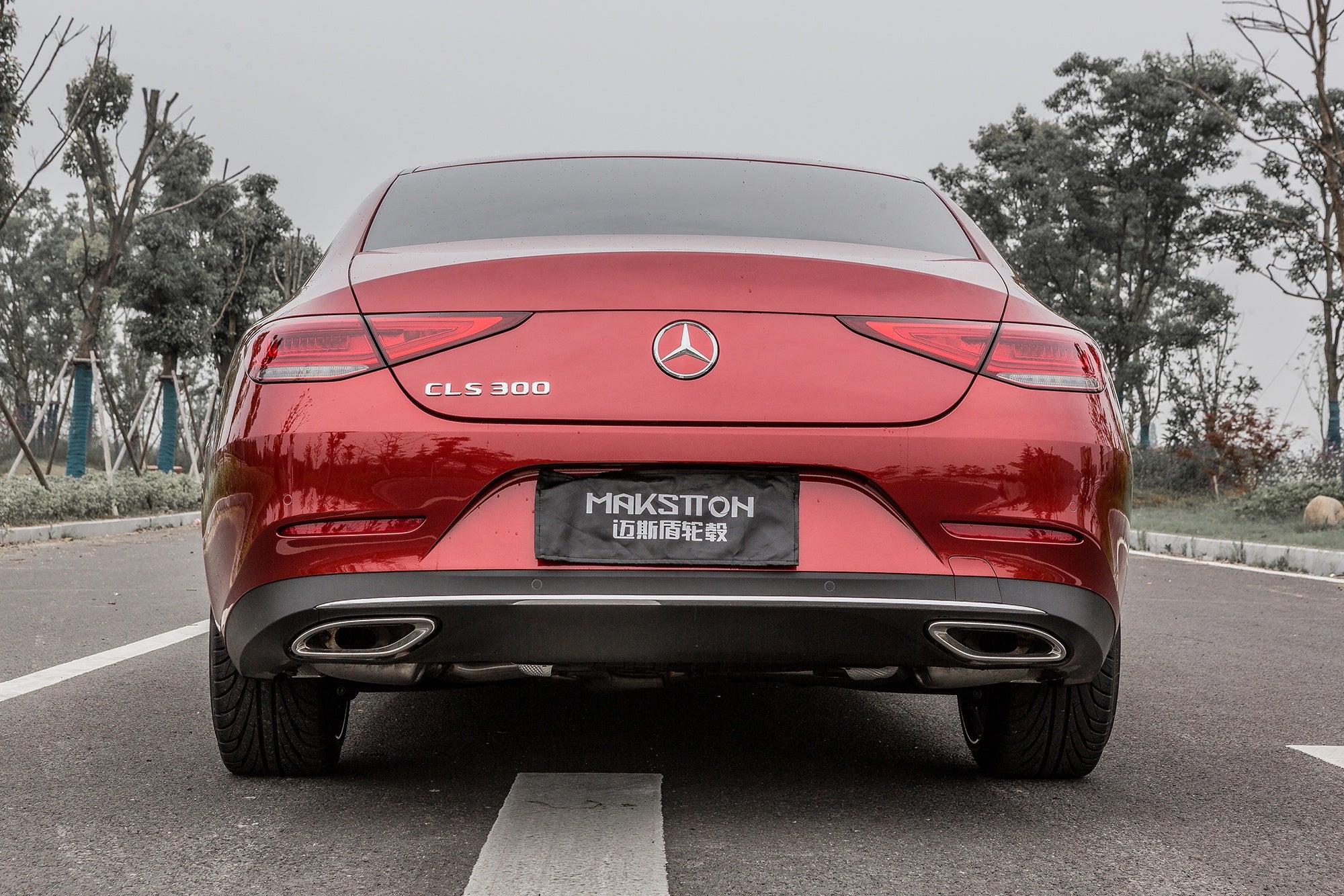 BENZ CLS300-003-FF 102