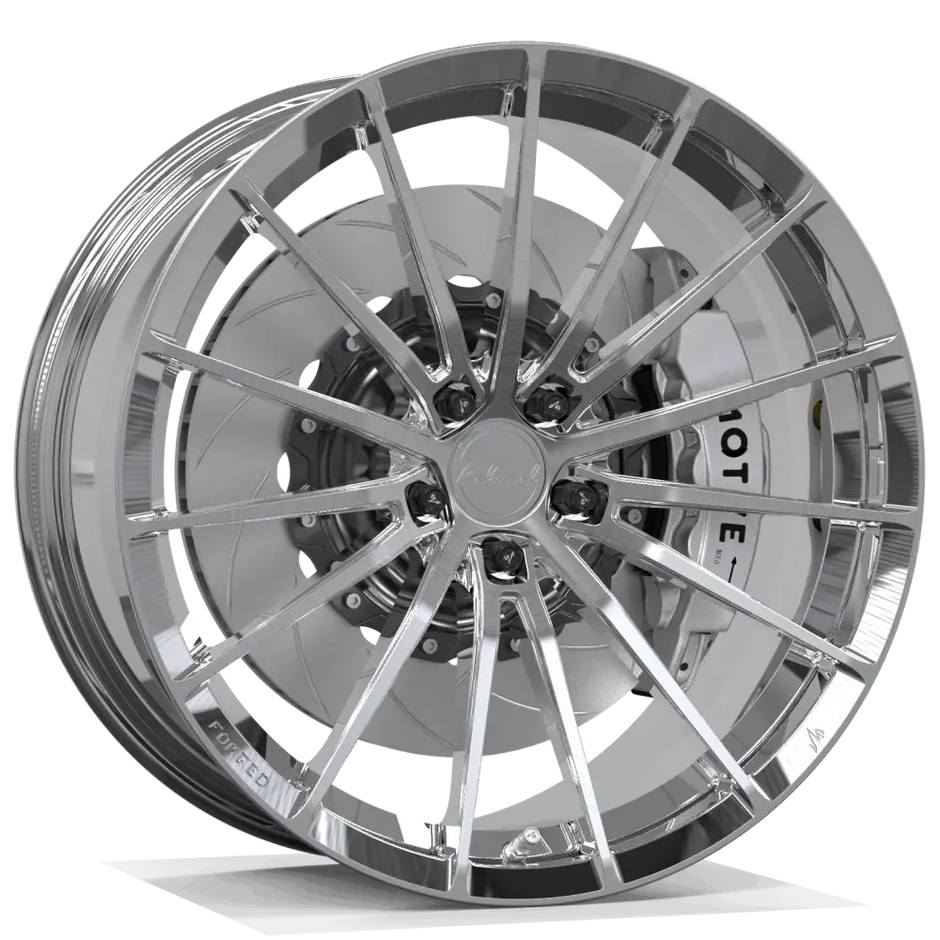 MSL FG ZY01