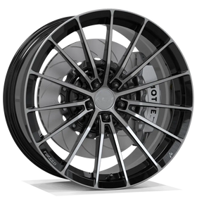 MSL FG ZY01