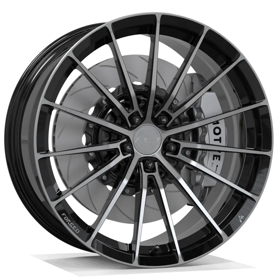 MSL FG ZY01