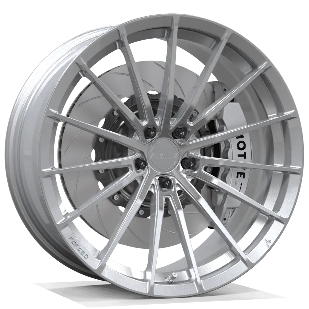 MSL FG ZY01