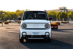 GEOME PANDA MINI-004-FF MR7S