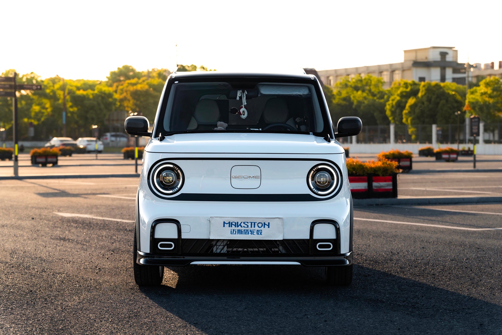 GEOME PANDA MINI-004-FF MR7S