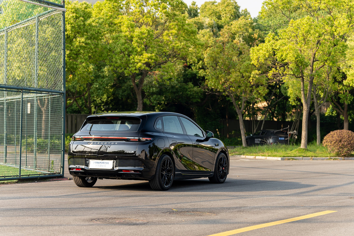 LEAPMOTOR LAFA5-005-FF FK08