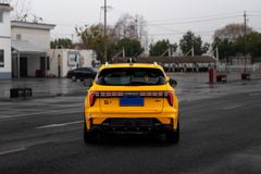 LYNK&CO 01-005-MST FLC
