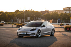 TESLA MODEL3-002-FG MR7 MONO