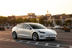 TESLA MODEL3-002-FG MR7 MONO