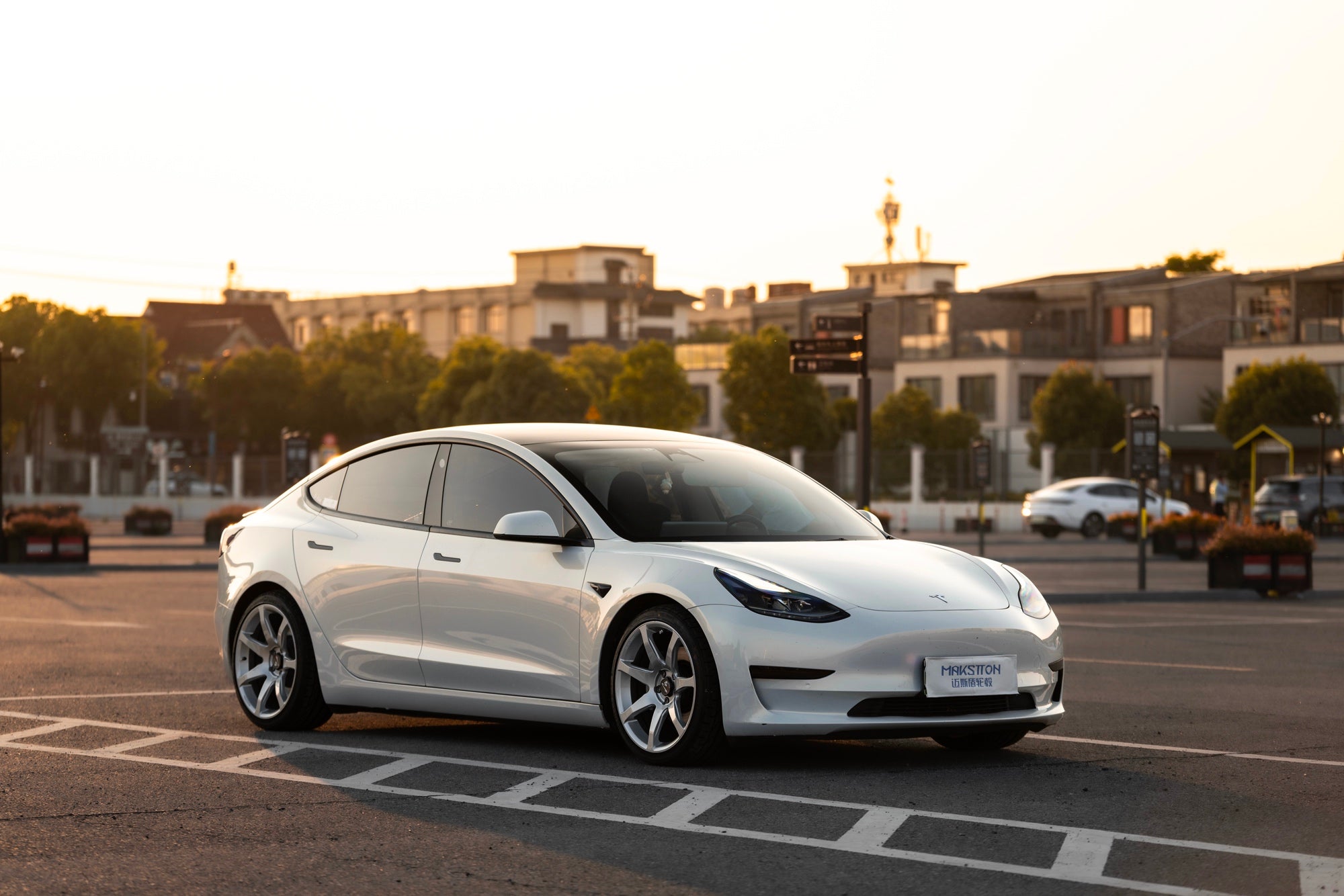 TESLA MODEL3-002-FG MR7 MONO