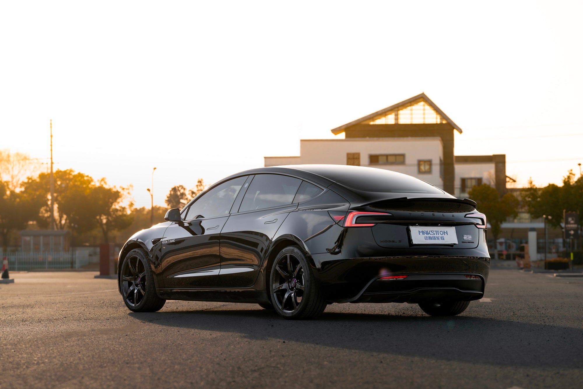 TESLA MODEL3-003-FF MR7