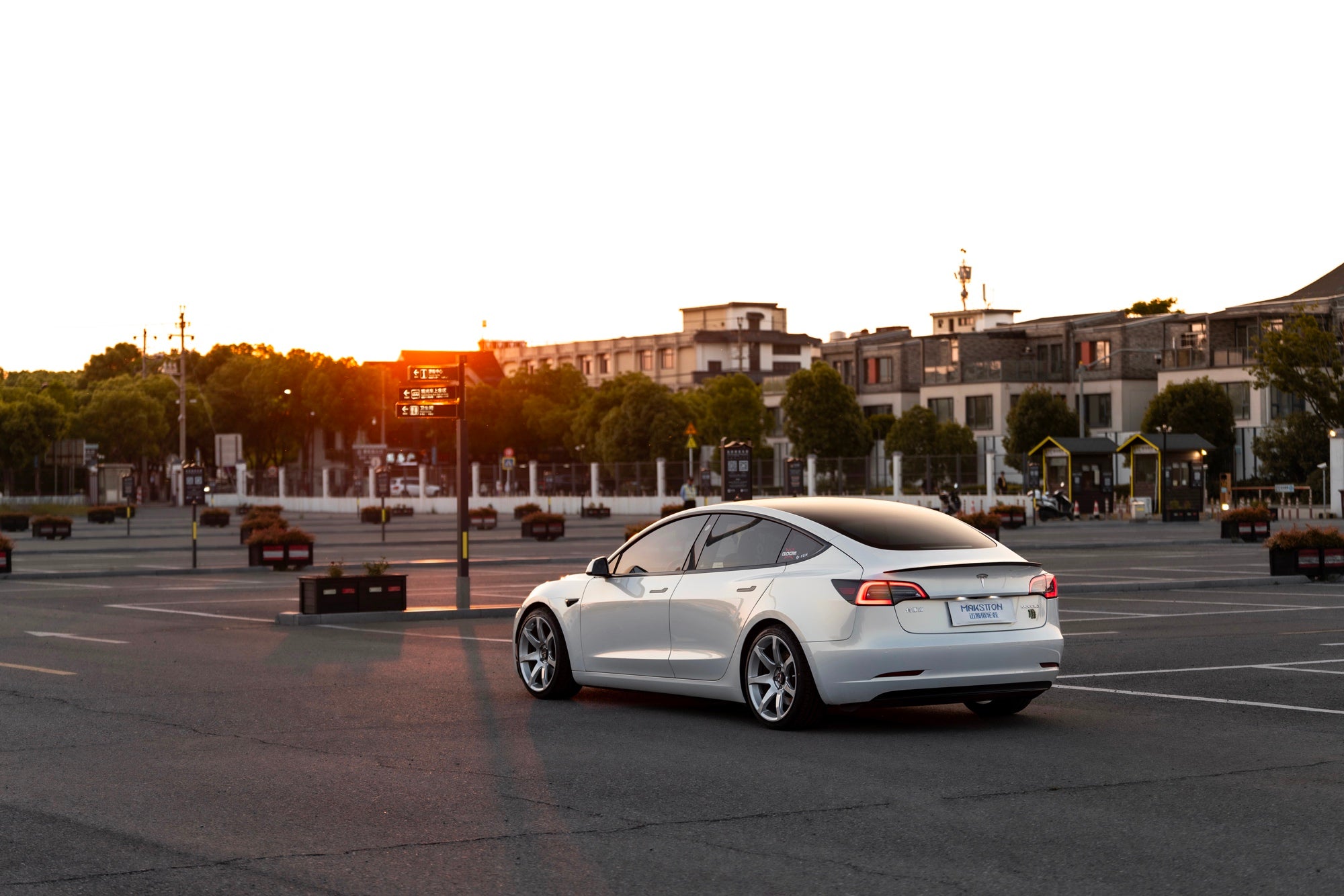 TESLA MODEL3-003-FG MR7 MONO