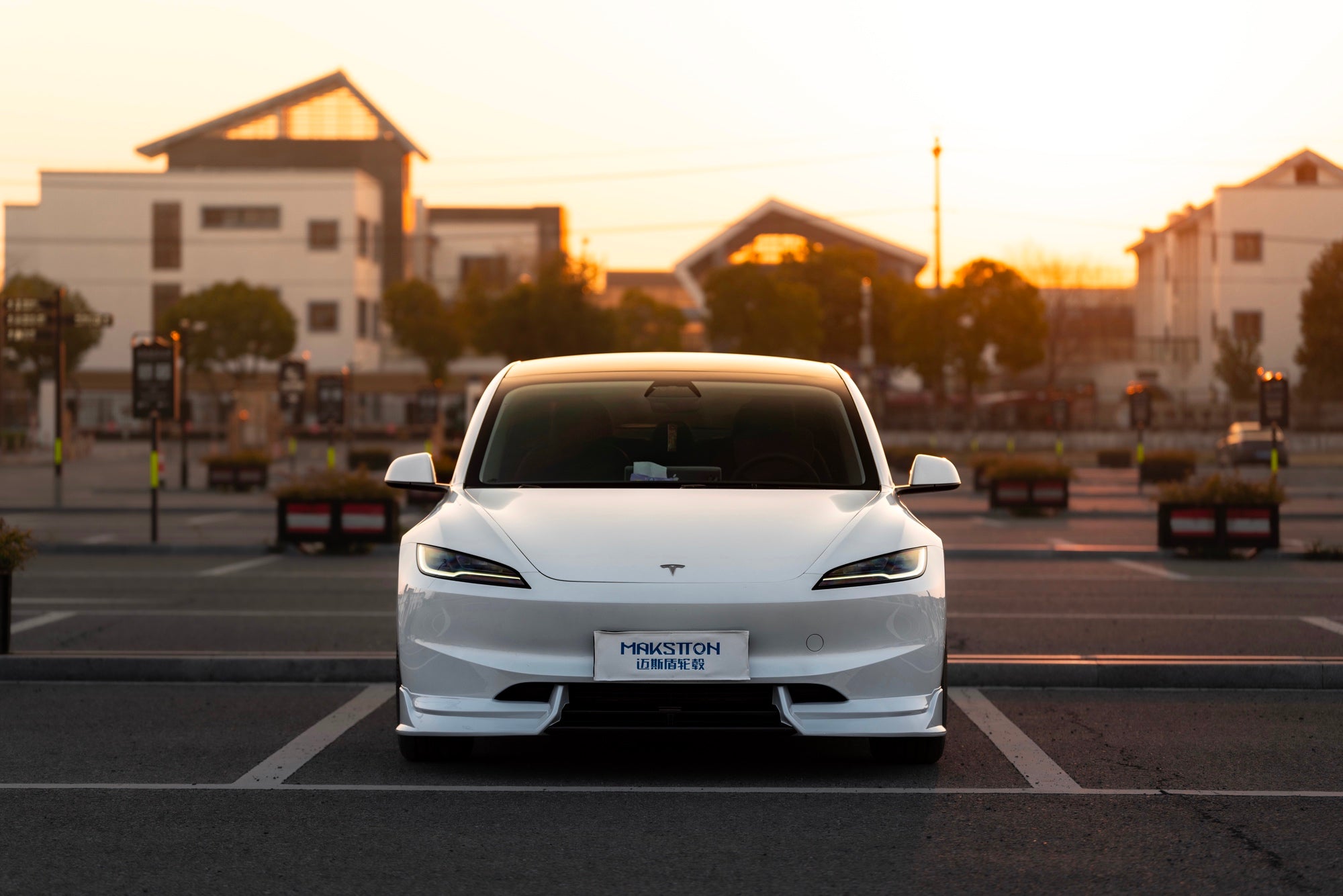TESLA MODEL3-004-FF MR7