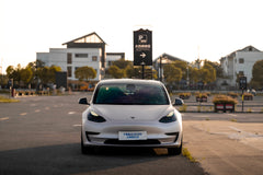 TESLA MODEL3-004-FG MR7 MONO