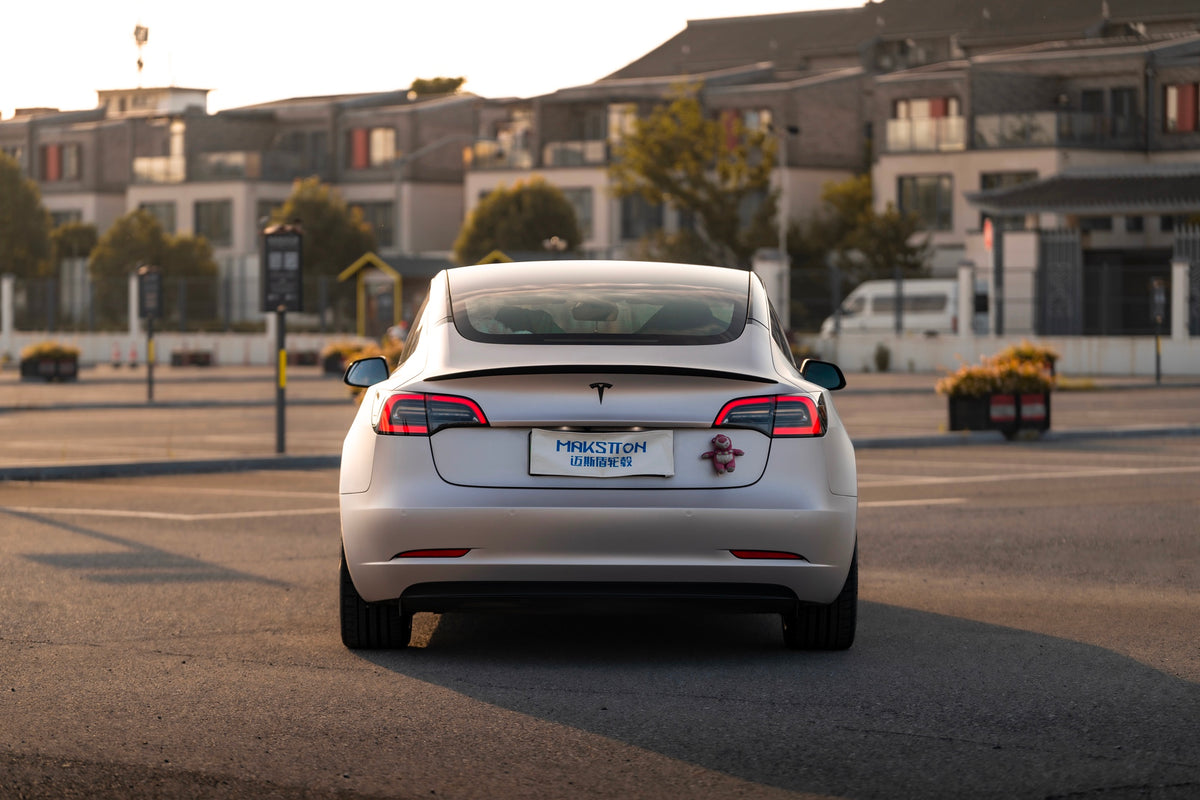 TESLA MODEL3-005-FG MR7 MONO