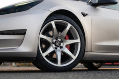 TESLA MODEL3-006-FG MR7 MONO