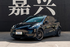 TESLA MODELY-002-FG 713