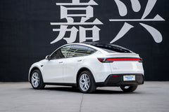 TESLA MODELY-003-FF FK07