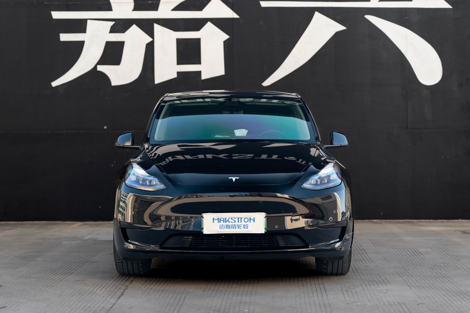 TESLA MODELY-004-FG 713