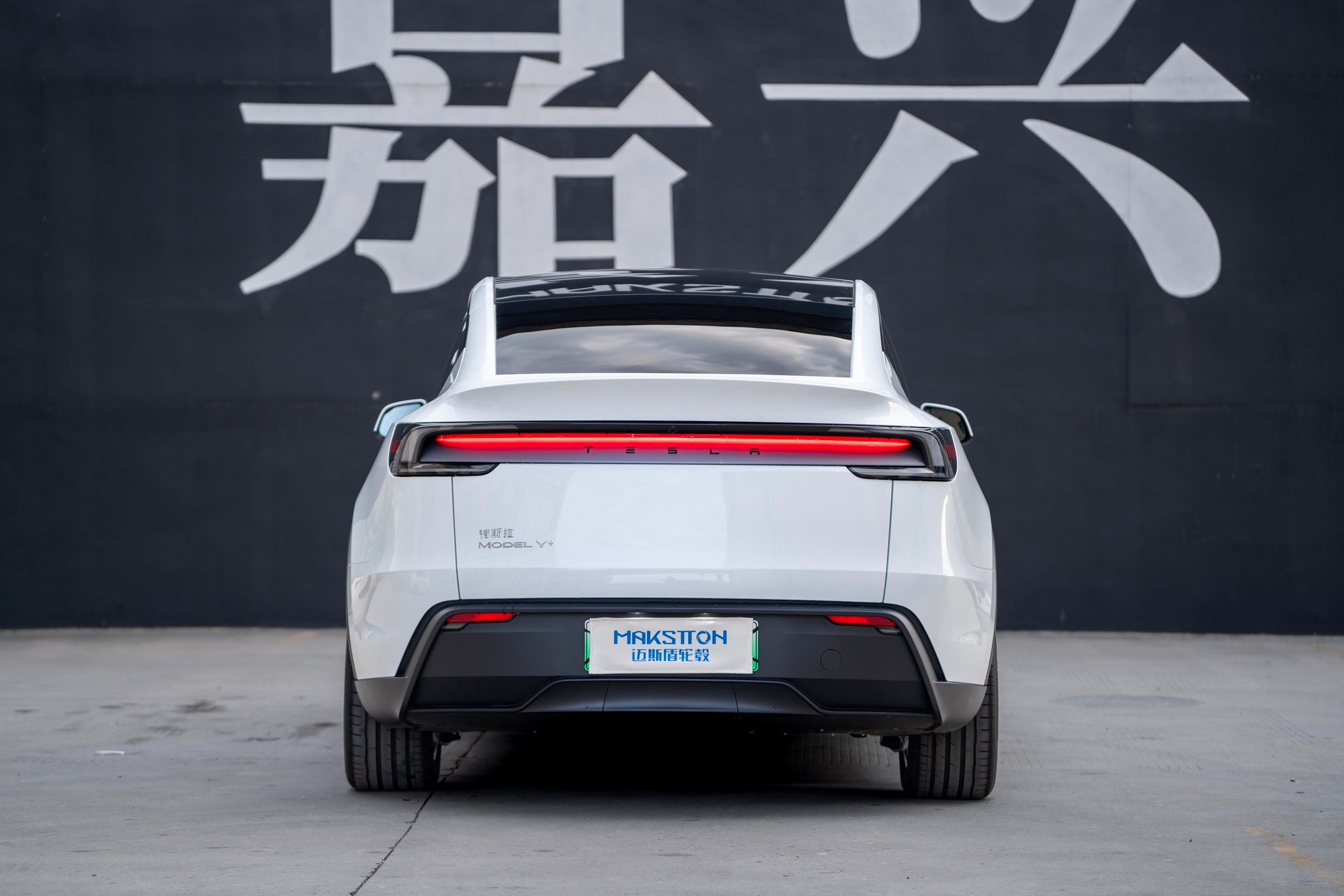 TESLA MODELY-005-FF FK07