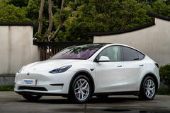 TESLA MODELY-006-FF FK07T