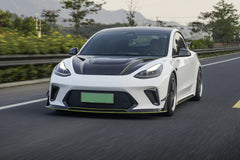 TESLA MODEL 3-005-GOT 201