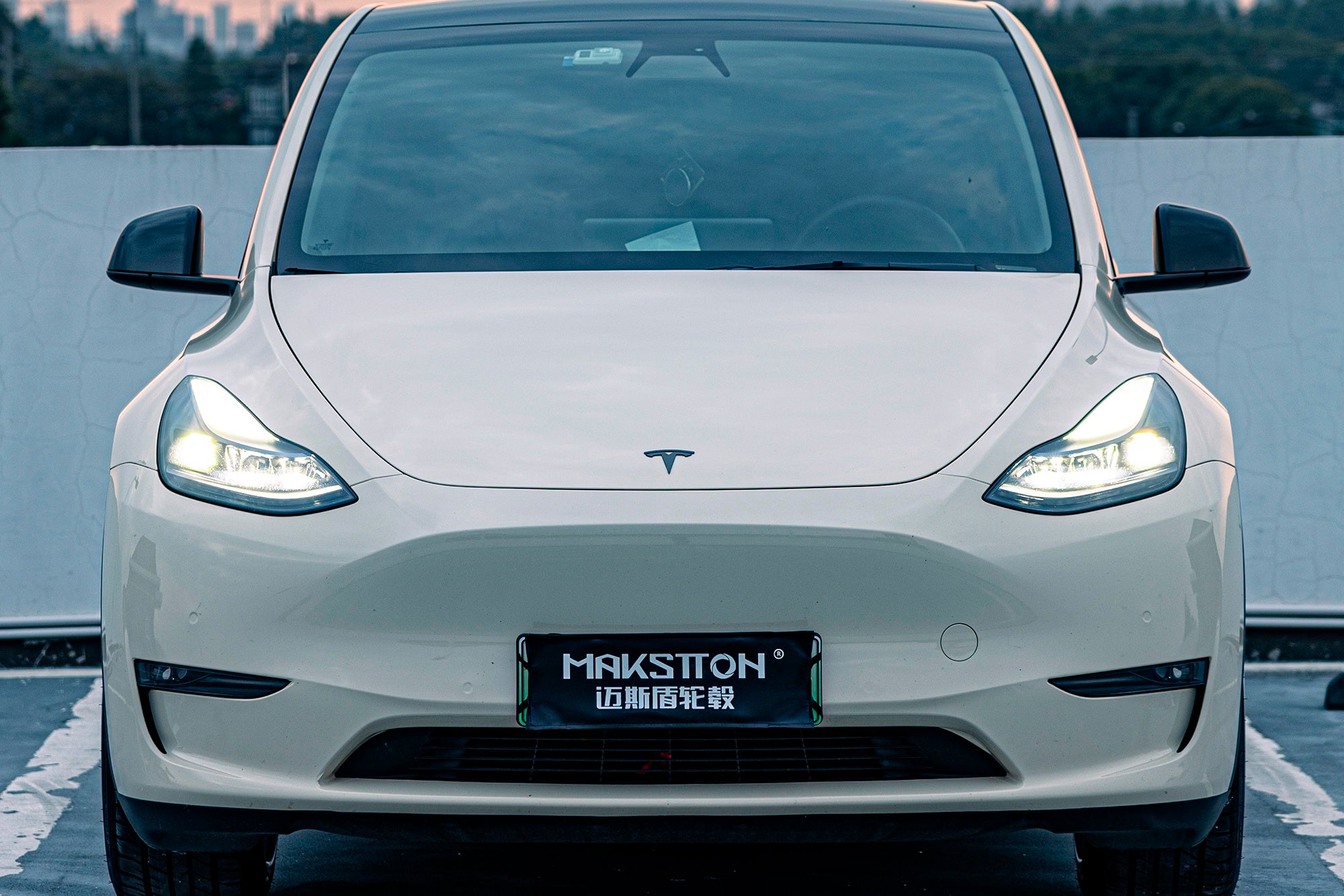 TESLA MODEL Y-006-FG CK70