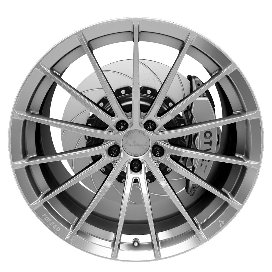 MSL FG ZY01
