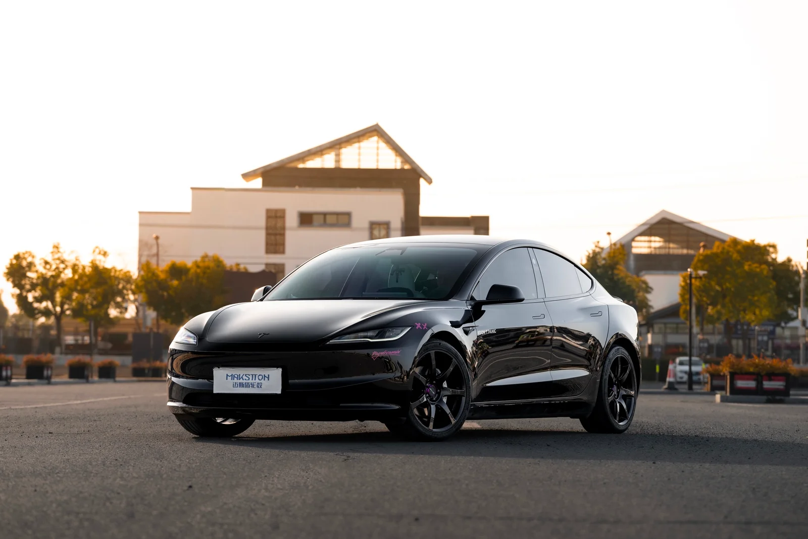 特斯拉Model3焕新版改装MAKSTTON FF MR719寸轮毂实拍图（第2张）