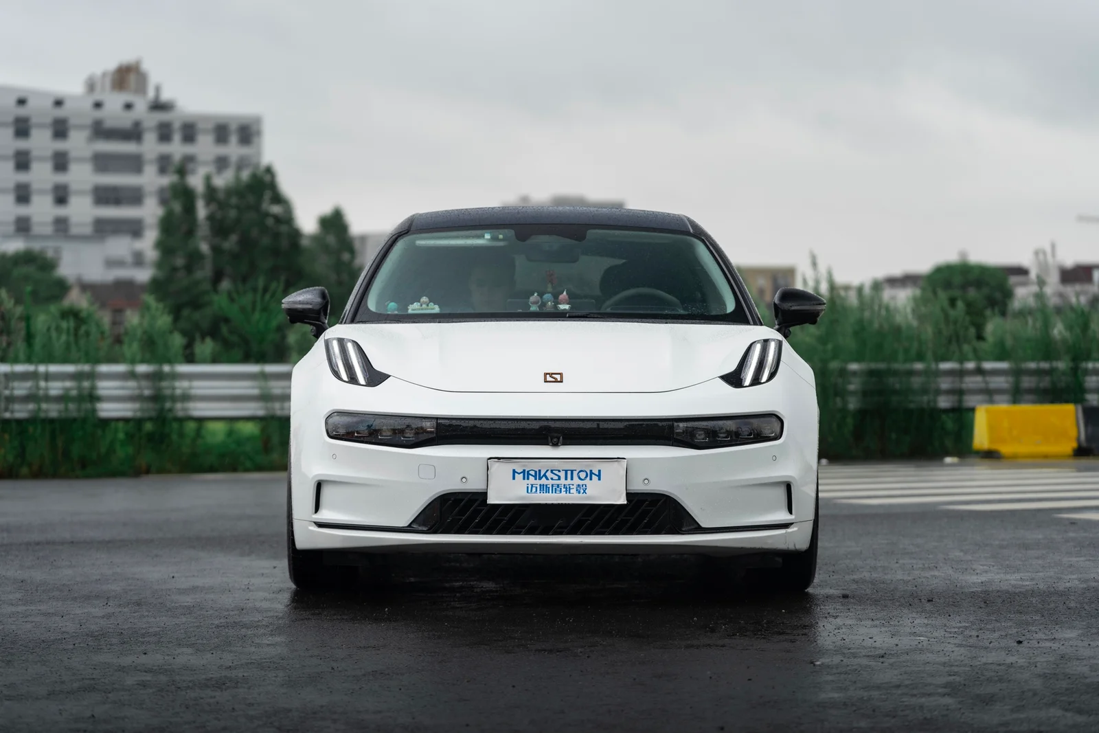 极氪001 · FF MR7 轮毂装车实拍，第4张